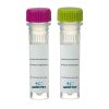 GFP-Tag Mouse Polyclonal Antibody - Image 2