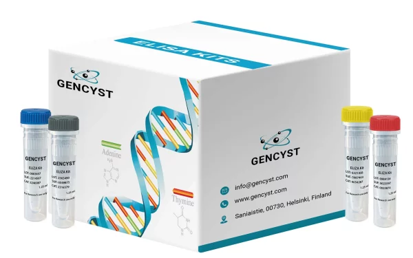 Human CYP7A1-Cytochrome P450 7A1  ELISA Kit