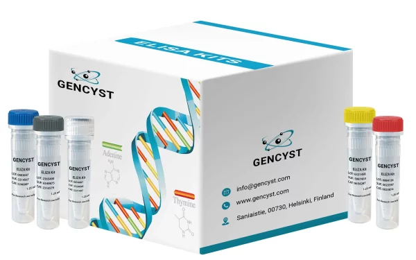 Human CA50-Carbohydrate Antigen 50 ELISA Kit