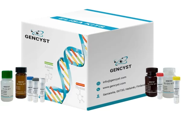 Human PRSS2-Protease, Serine 2 ELISA Kit