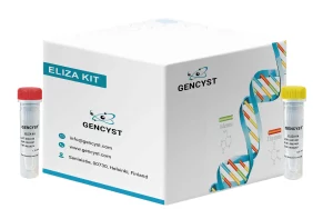 Human FOXO1-Forkhead Box Protein O1 ELISA Kit