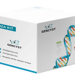 Mouse uPA-Plasminogen Activator, Urokinase  ELISA Kit