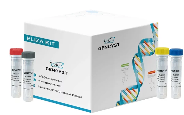 Mouse MIF-Macrophage Migration Inhibitory Factor  ELISA Kit