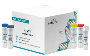 Rat MPP2-Membrane Protein, Palmitoylated 2 ELISA Kit