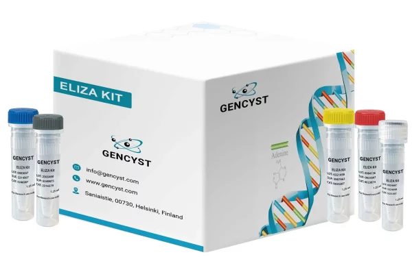 Human MEPE-Matrix Extracellular Phosphoglycoprotein ELISA Kit