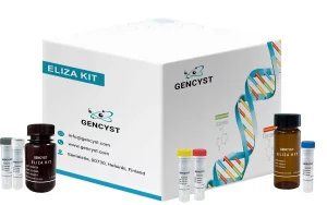 Rabbit IL4-Interleukin 4 ELISA Kit