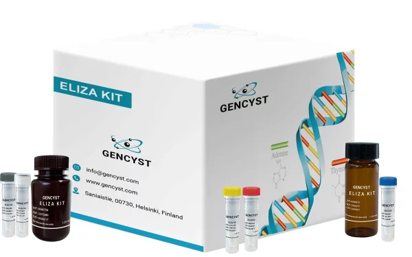 Human CDK4-Cyclin Dependent Kinase 4 ELISA Kit