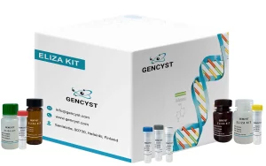 Rabbit IL6-Interleukin 6 ELISA Kit