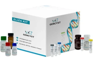 Mouse ANG-Angiogenin  ELISA Kit