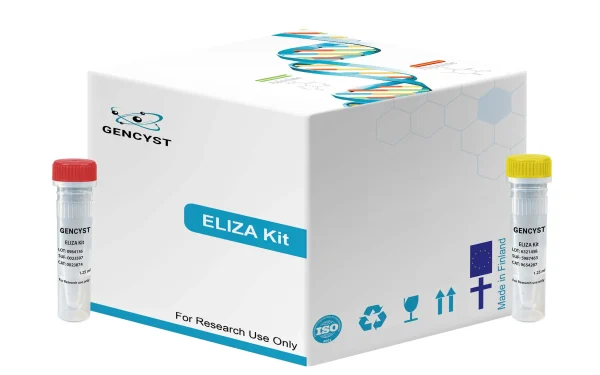 Human FcgRII-Receptor II For The Fc Region Of Immunoglobulin G ELISA Kit