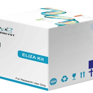 Rat Tie2-TEK Tyrosine Kinase, Endothelial  ELISA Kit