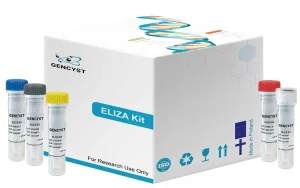 Rabbit MCP1-Monocyte Chemotactic Protein 1 ELISA Kit