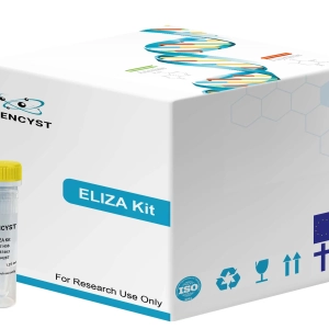 Mouse Tie1-Tyrosine Kinase With Immunoglobulin Like And EGF Like Domains Protein 1  ELISA Kit