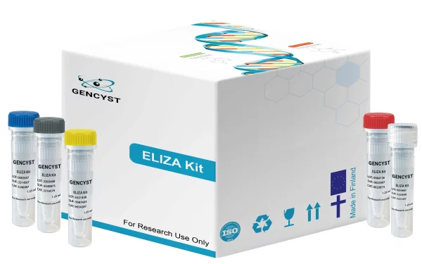 Rat ANGPT2(Angiopoietin 2) ELISA Kit