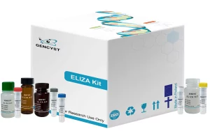 Rabbit HGF-Hepatocyte Growth Factor ELISA Kit