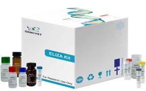 Mouse CNTF-Ciliary Neurotrophic Factor  ELISA Kit