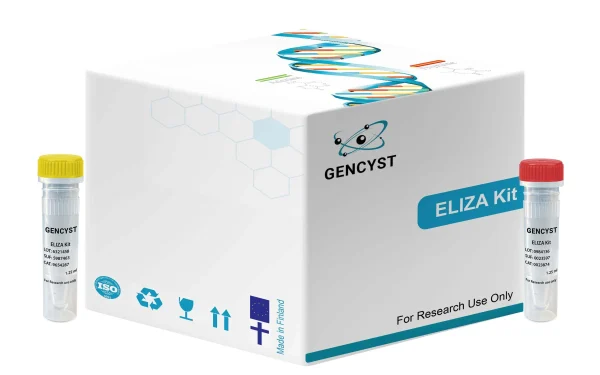 Human Tyk2-Tyrosine Kinase 2 ELISA Kit