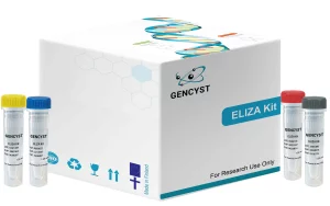 Human IRF5-Interferon Regulatory Factor 5 ELISA Kit