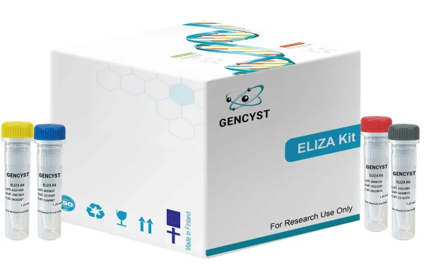 Rat EG-VEGF-Endocrine Gland Derived Vascular Endothelial Growth Factor  ELISA Kit