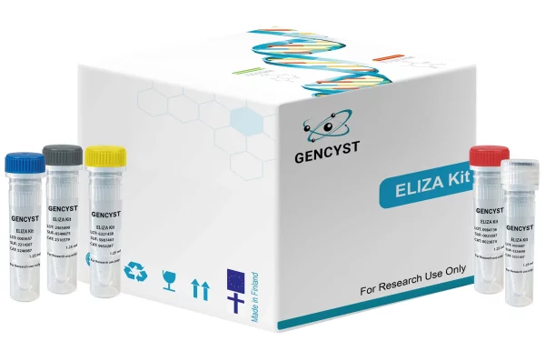 Mouse EG-VEGF-Endocrine Gland Derived Vascular Endothelial Growth Factor  ELISA Kit