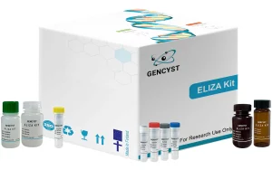 Human CFB-Complement Factor B ELISA Kit