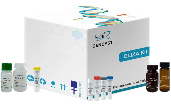 Rat EPOR-Erythropoietin Receptor  ELISA Kit