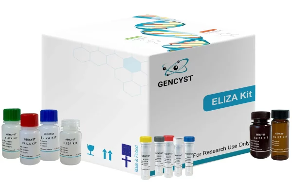 Rat HSF1-Heat Shock Transcription Factor 1 ELISA Kit