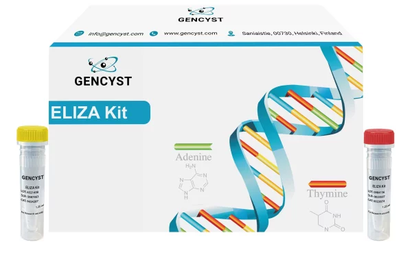 Human PP-Pancreatic Polypeptide ELISA Kit