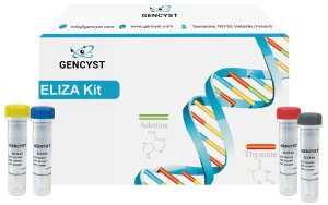 Mouse GSTa1-Glutathione S Transferase Alpha 1 ELISA Kit