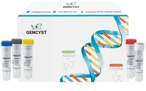 Human PGR-Progesterone Receptor ELISA Kit