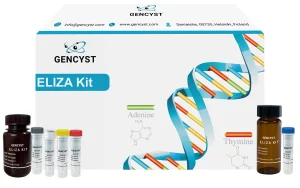 Human aEP-Alpha-Endorphin ELISA Kit