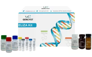 Human DAF-Decay Accelerating Factor ELISA Kit