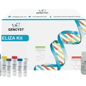 Human DAF(Decay Accelerating Factor) ELISA Kit