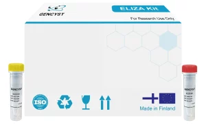 Rat Smad7-Mothers Against Decapentaplegic Homolog 7 ELISA Kit