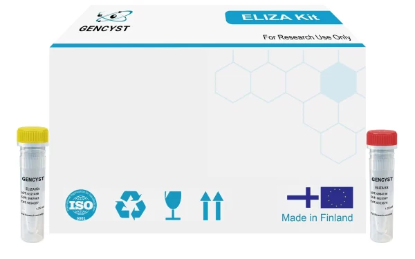 Rat Smad7-Mothers Against Decapentaplegic Homolog 7 ELISA Kit