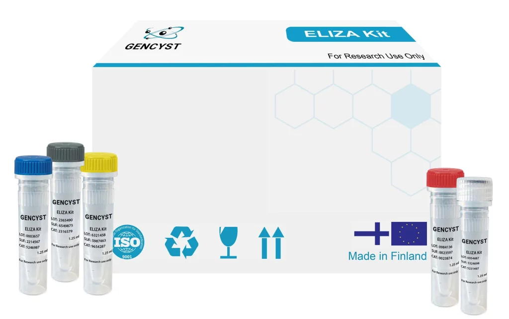 Rat FGF9-Fibroblast Growth Factor 9 ELISA Kit - Gencyst