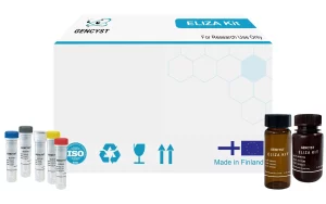 Human NTXI-Cross Linked N-Telopeptide Of Type I Collagen ELISA Kit