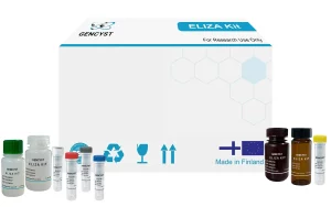 Human ET-1-Endothelin1 ELISA Kit