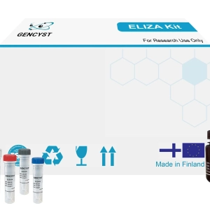 Human XPC(Xeroderma Pigmentosum, Complementation Group C) ELISA Kit