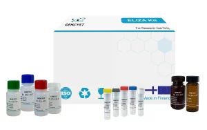 Mouse CP-Ceruloplasmin ELISA Kit