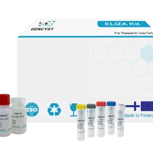 Human PTHR2(Parathyroid Hormone Receptor 2) ELISA Kit