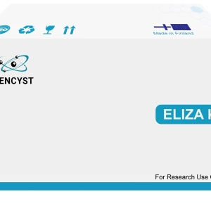 Human VDR(Vitamin D Receptor) ELISA Kit