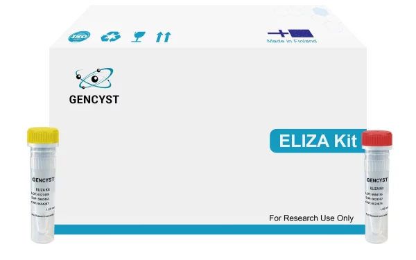 Human HPA-Heparanase ELISA Kit