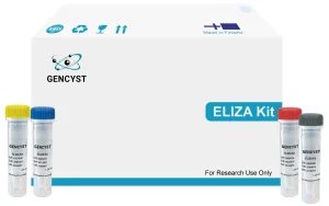 Human NPY-Neuropeptide Y ELISA Kit