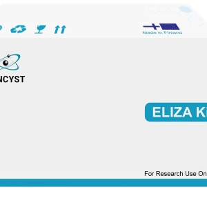 Mouse EDN1(Endothelin 1) ELISA Kit