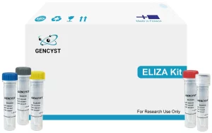 Rat NPY-Neuropeptide Y ELISA Kit