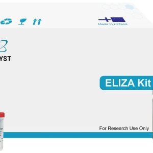 Human NT-ProANP(N-Terminal Pro-Atrial Natriuretic Peptide) ELISA Kit