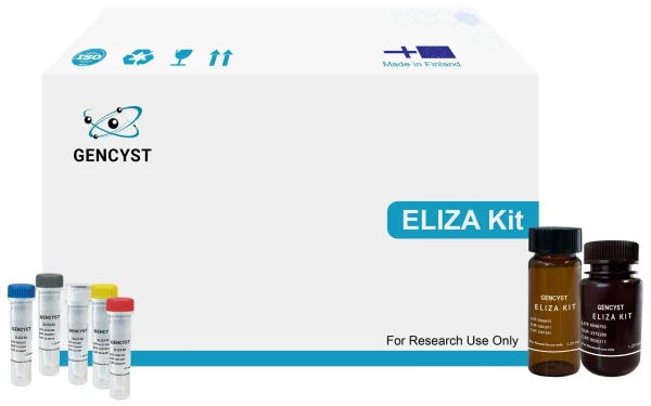 Rat IGFBP1-Insulin Like Growth Factor Binding Protein 1  ELISA Kit