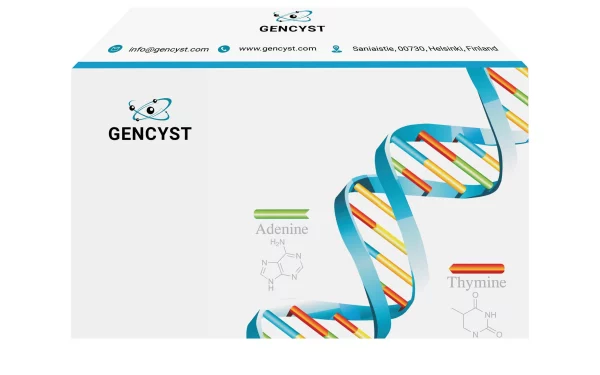 Human DMD-Dystrophin ELISA Kit