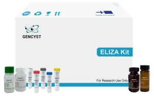 Human TrxR1-Thioredoxin Reductase 1 ELISA Kit